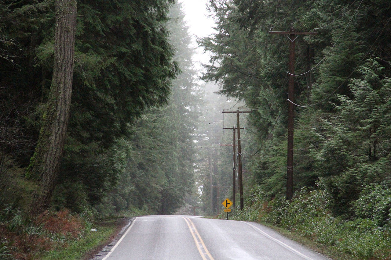 The city council has approved a contract to construct a paved shoulder along a stretch of Miller Road for bicyclists. (Brian Kelly | Bainbridge Island Review)