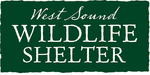 West Sound Wildlife Shelter gets grant for educational programs