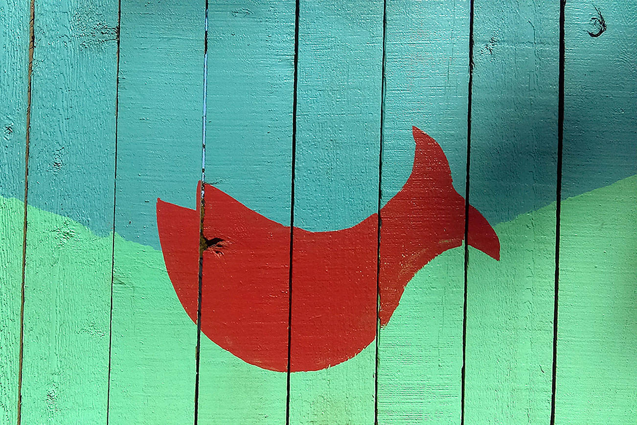 Fish on the fence | Photo of the day 8.8