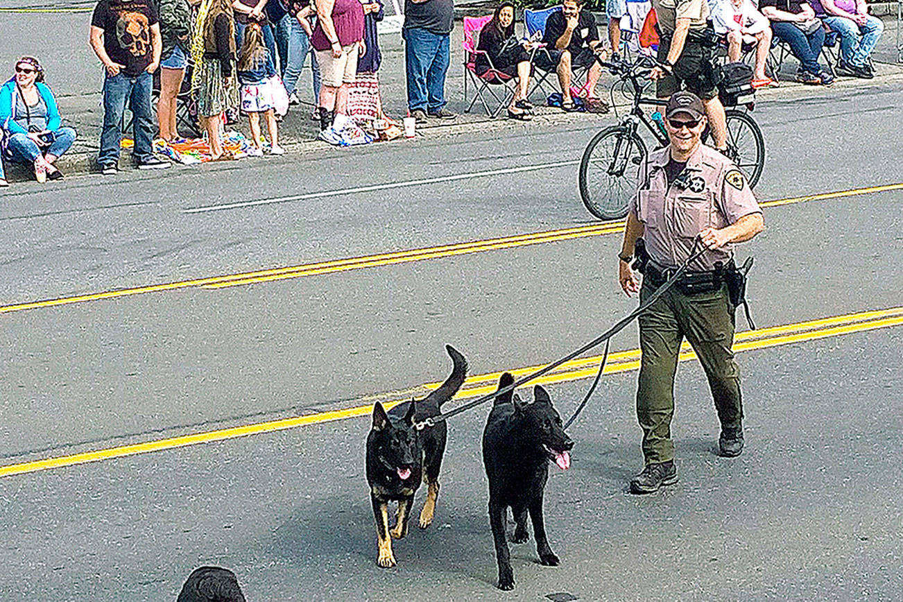 Sheriff K-9 unit to perform demonstrations at Kitsap County Fair