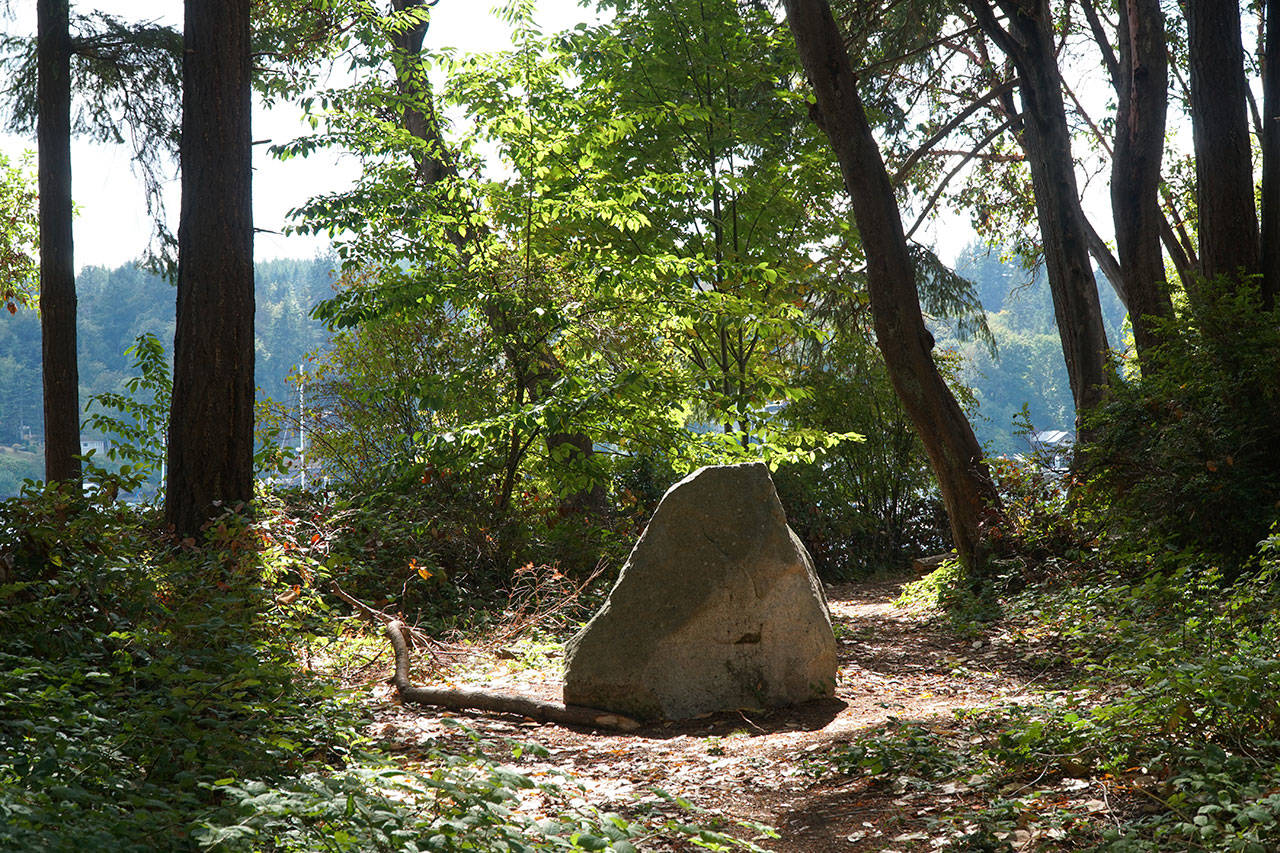A rock in the park | Photo of the day 8.31