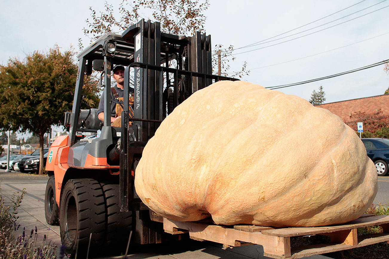 All hail the pum-king: Great gourd returns to downtown Winslow