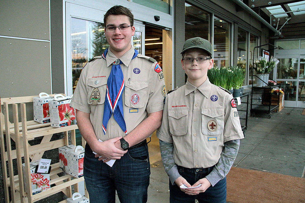 Bainbridge Scouts taking reservations for Christmas tree recyling