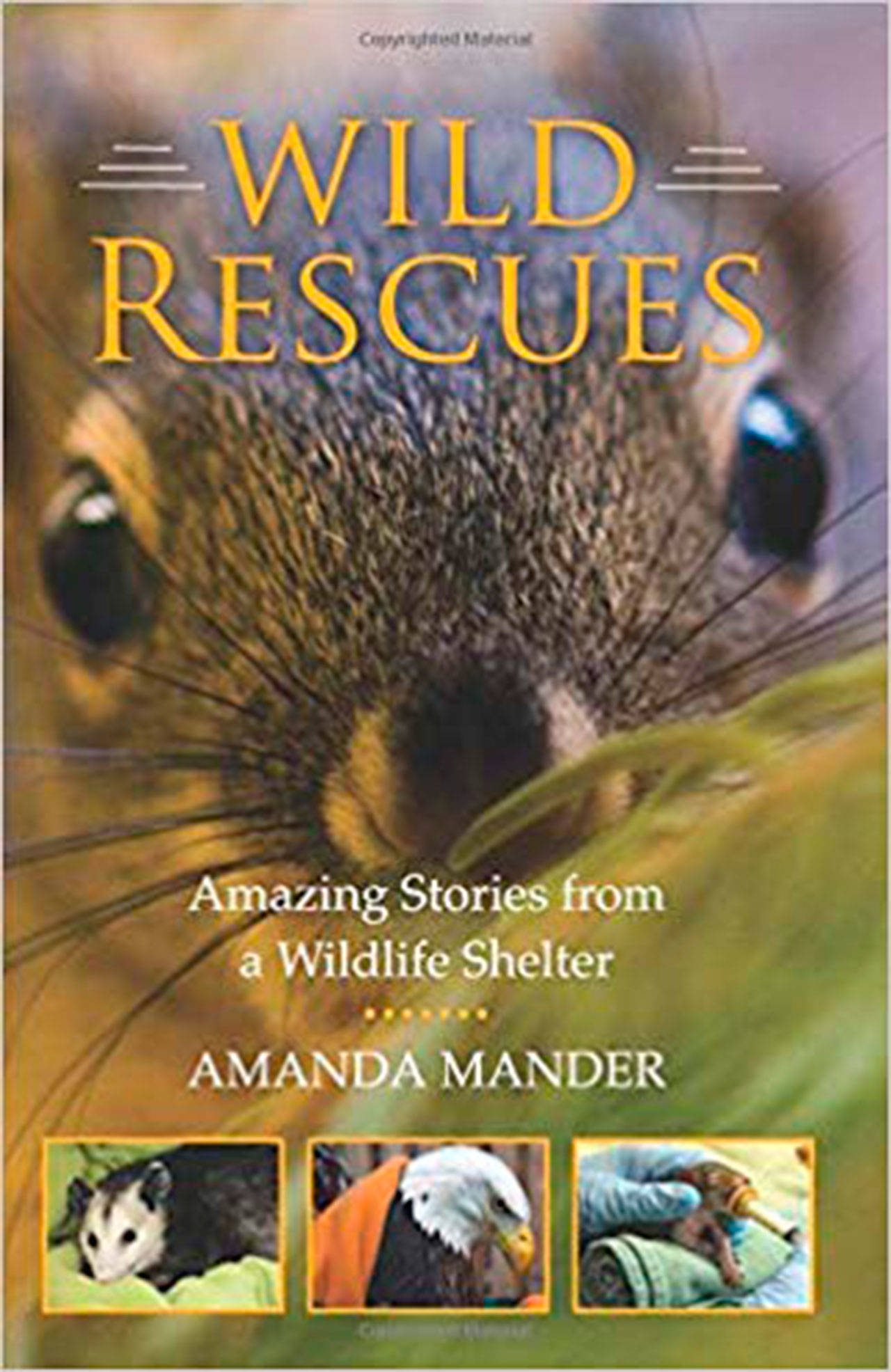 Image courtesy of Eagle Harbor Book Company | Amanda Mander will mark the launch of her new book “Wild Rescues: Amazing Stories from a Wildlife Shelter” with a visit to Eagle Harbor Book Company at 3 p.m. Sunday, Jan. 13.