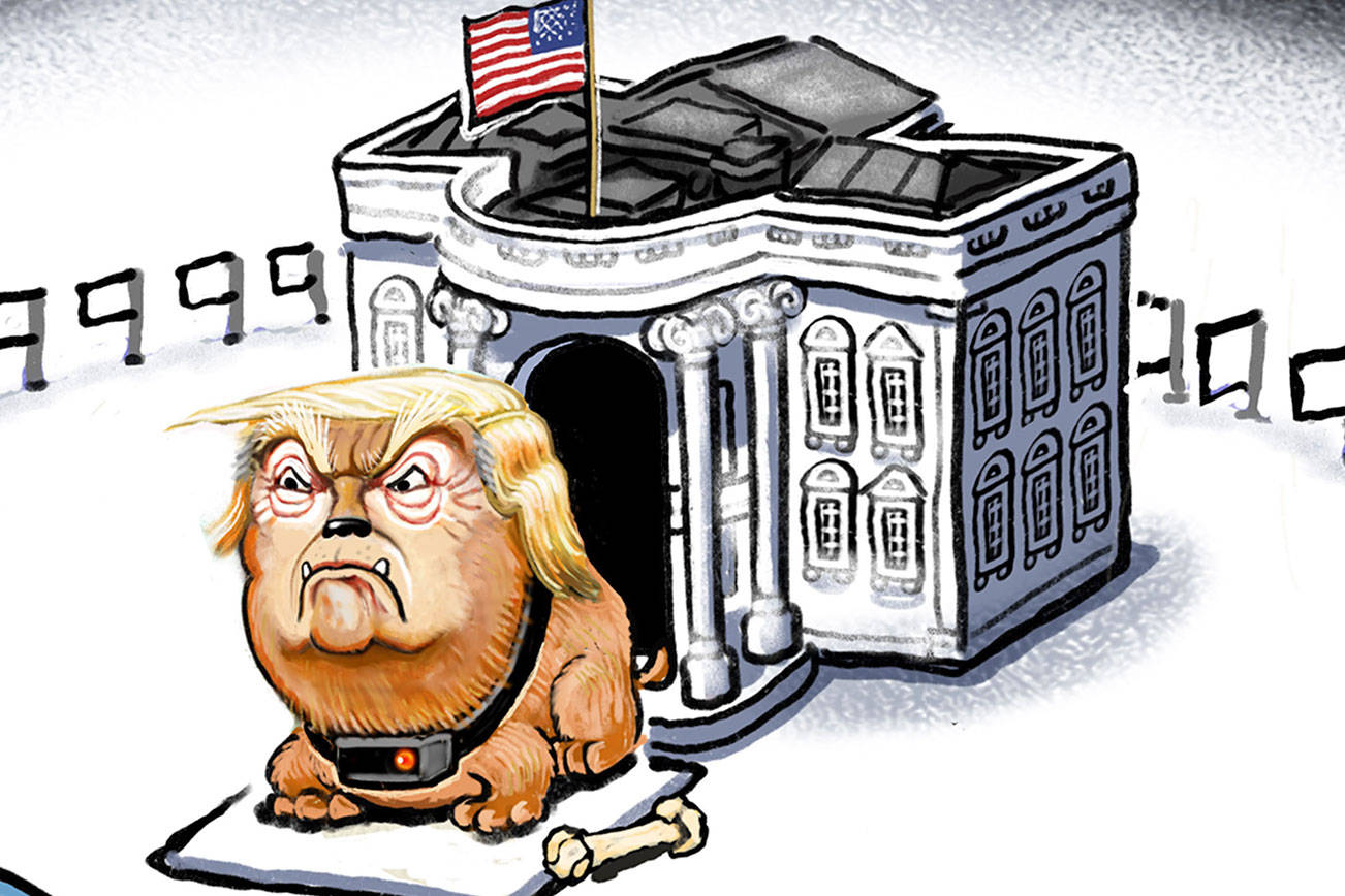 Trump’s 102nd week in office | In cartoons