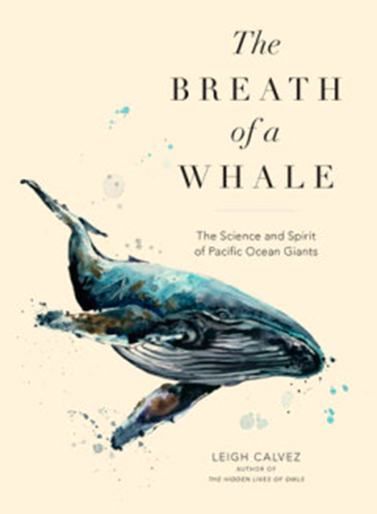 Image courtesy of Eagle Harbor Book Company | Join Leigh Calvez, naturalist and author of the New York Times-bestselling “The Hidden Lives of Owls” at 7 p.m. Thursday, March 7 at Eagle Harbor Book Company as she discusses her latest book, which goes deep to discover the elusive lives of whales in the Pacific Ocean.