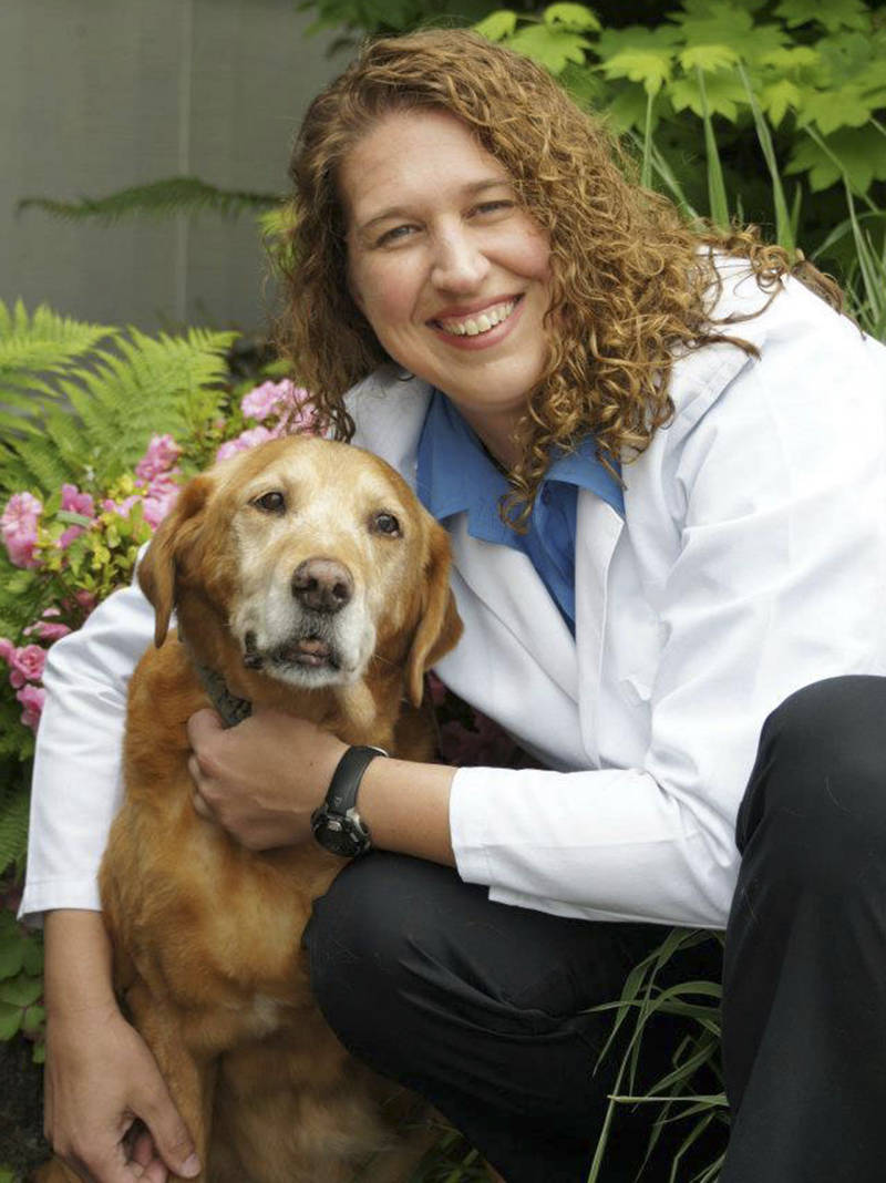 Pets in pain Caring for your ailing dog or cat can be this easy Bainbridge Island Review