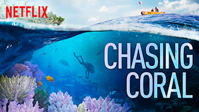 ‘Chasing Coral’ to be screened at the Bainbridge Public Library