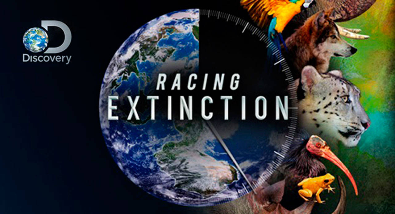 Next film in series explores mass extinction