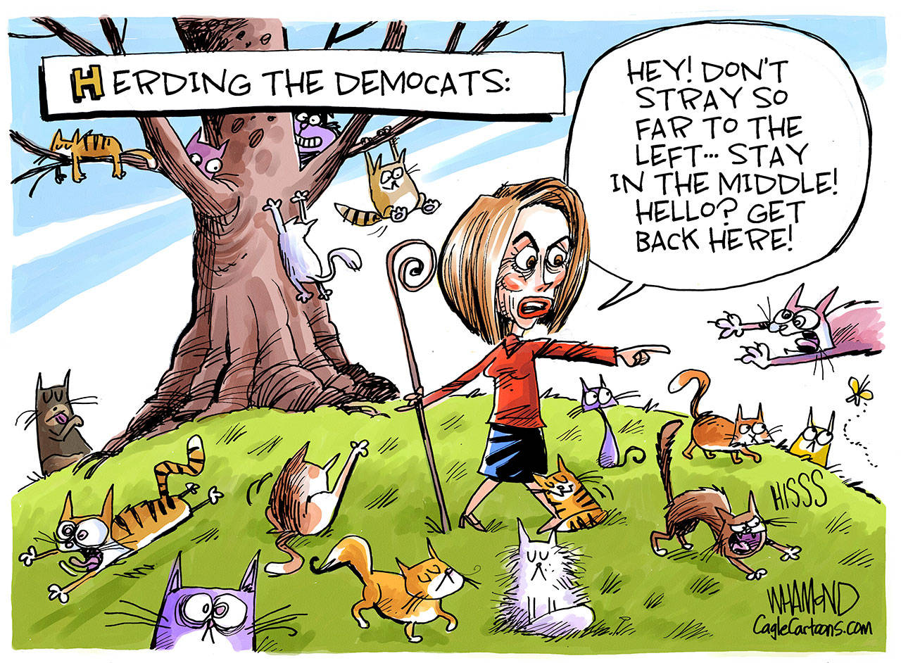 Today’s cartoon for Friday, May 3