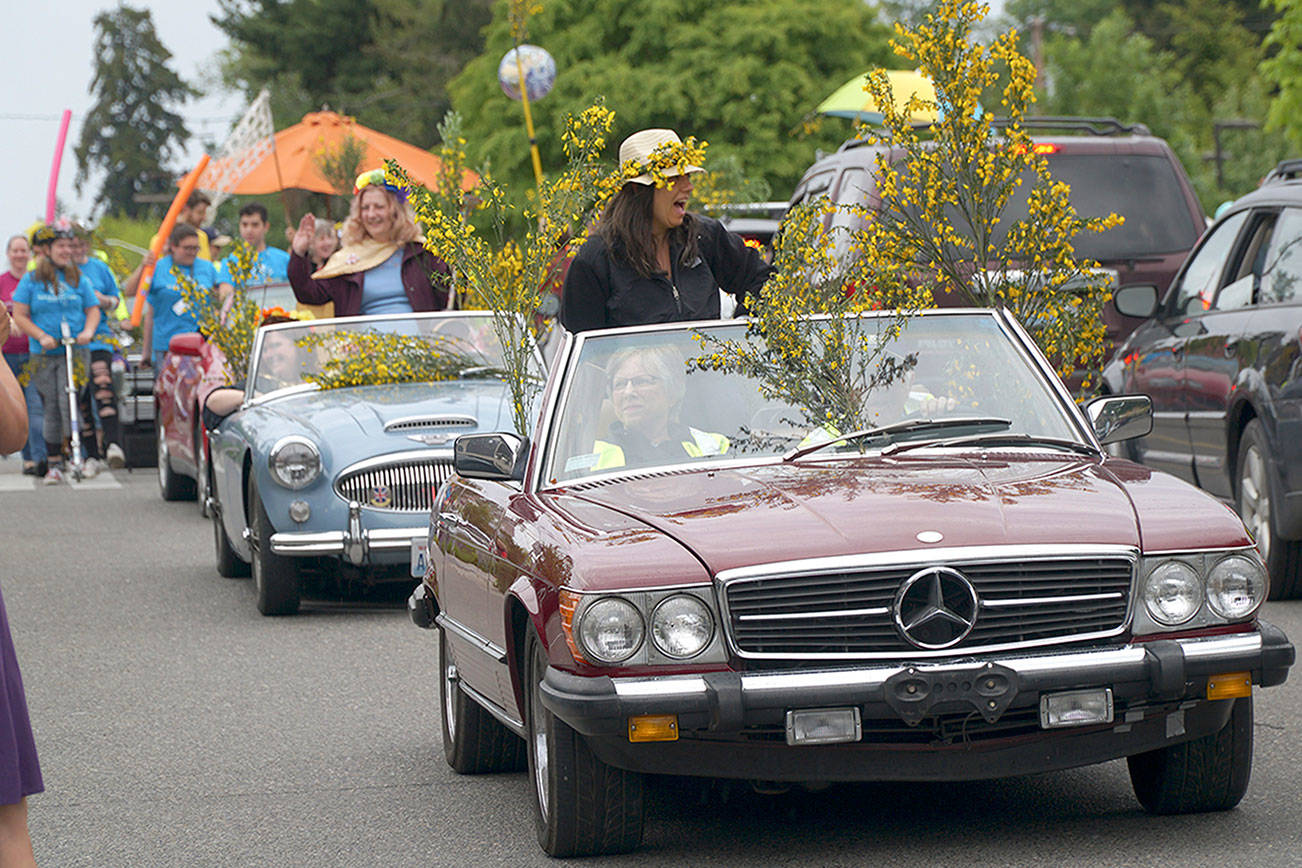 Quirky, secretive Scotch broom parade returns to Winslow | Photo gallery