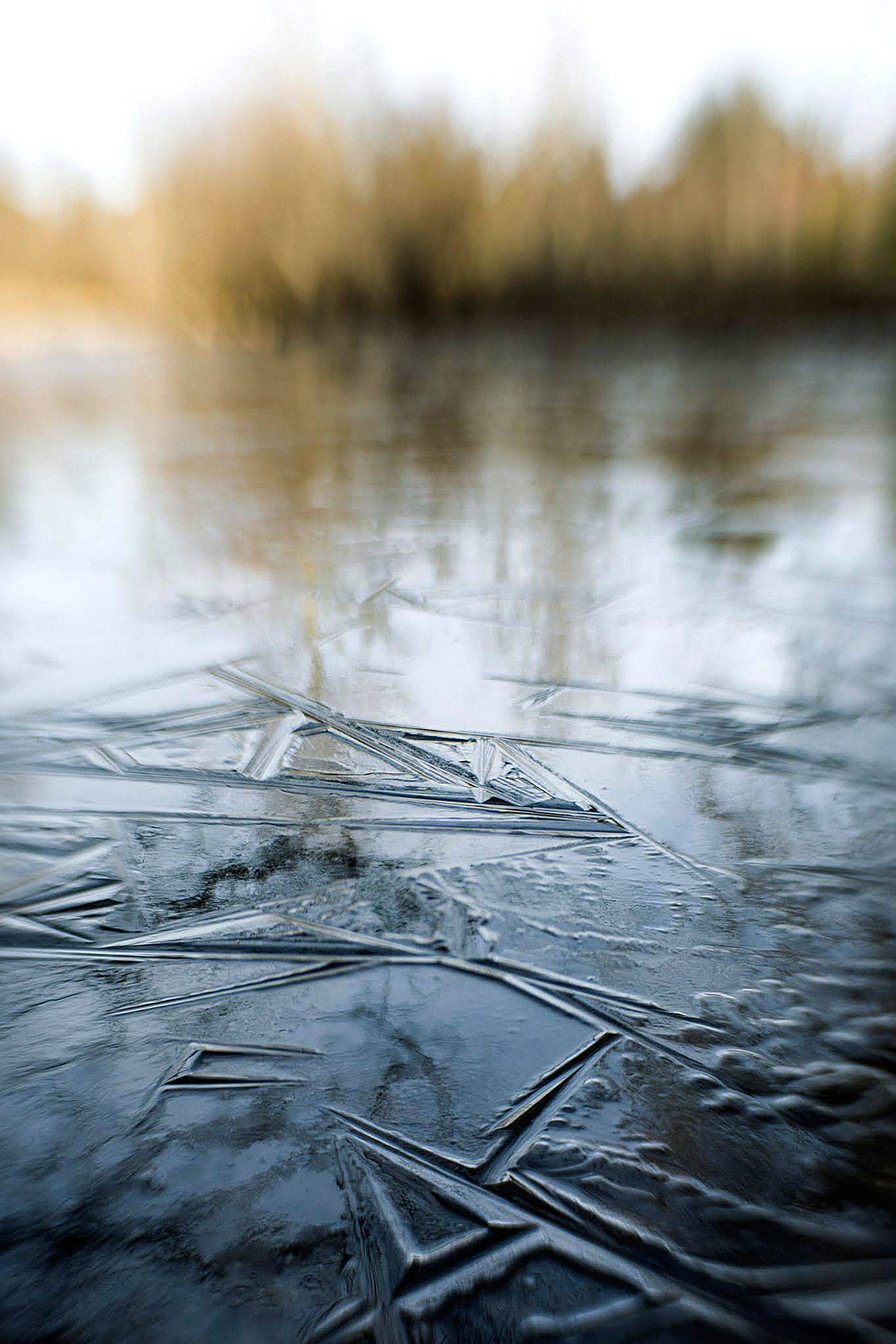 “Frozen Memory” by Mandi May. (Image courtesy of the BPA Gallery)