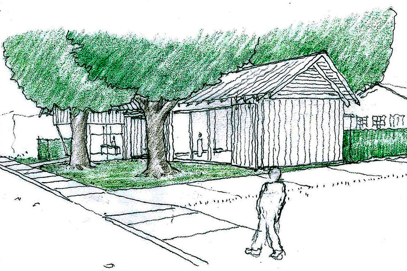 Tree protection emerges as top concern in early stages of Bainbridge history museum’s expansion
