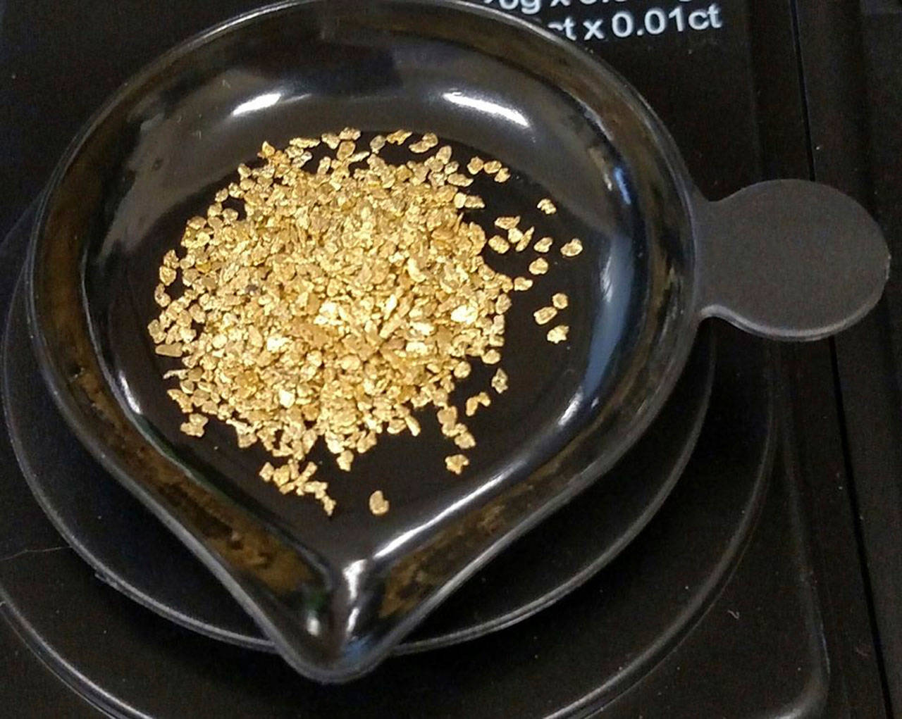West Coast Mining Supply will be on hand teaching people to pan for gold. (Photo courtesy West Coast Mining Supply)