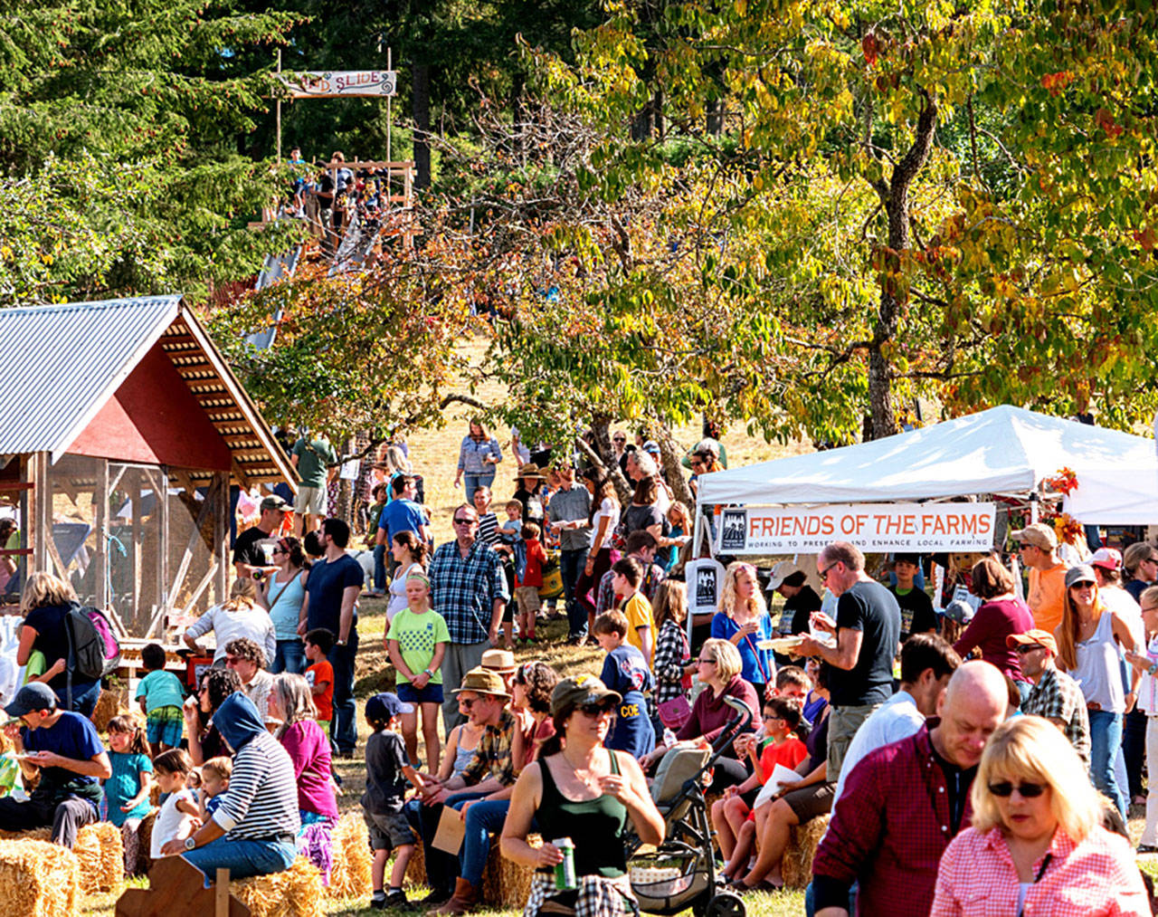 Photo courtesy of Friends of the Farms | The 18th annual Bainbridge Island Harvest Fair, hosted by Friends of the Farms, will return to Johnson Farm from 11 a.m. to 5 p.m. Sunday, Sept. 22.