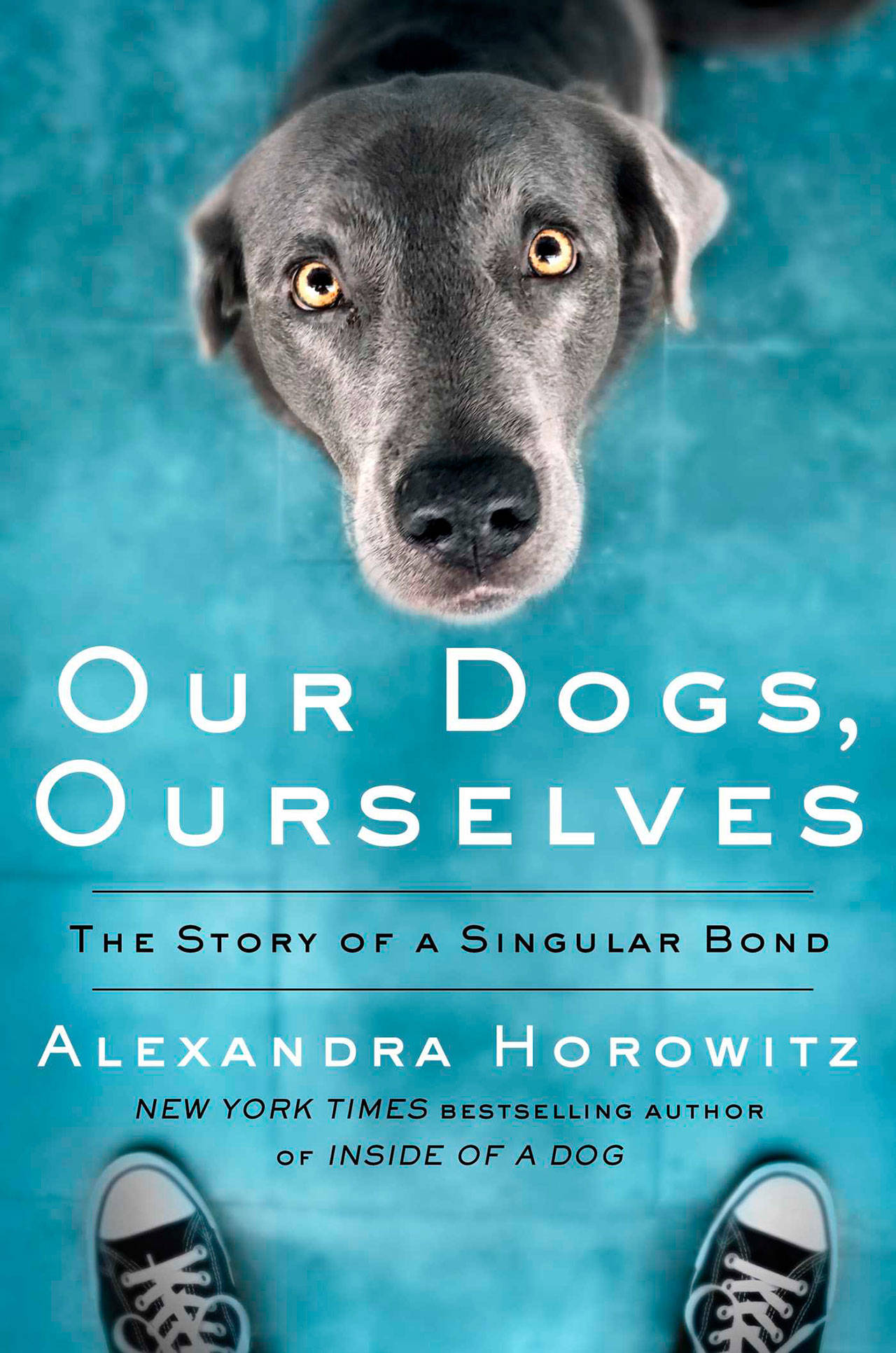 Image courtesy of Eagle Harbor Book Company | Alexandra Horowitz will visit Eagle Harbor Book Company at 3 p.m. on Sunday, Sept. 29 to discus her newest book, released earlier this month, “Our Dogs, Ourselves: The Story of a Singular Bond.”