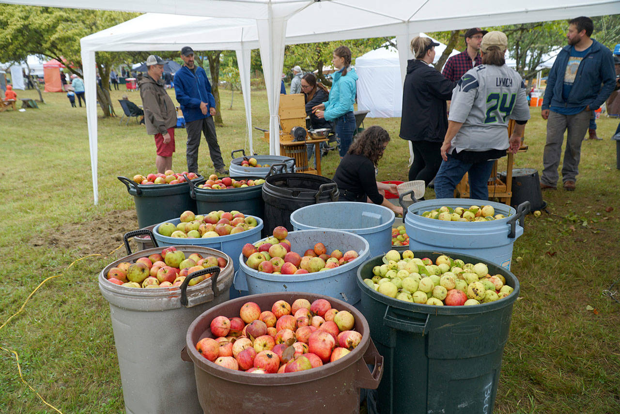A bumper crop of good times: Annual Harvest Fair returns to Johnson Farm | Photo gallery