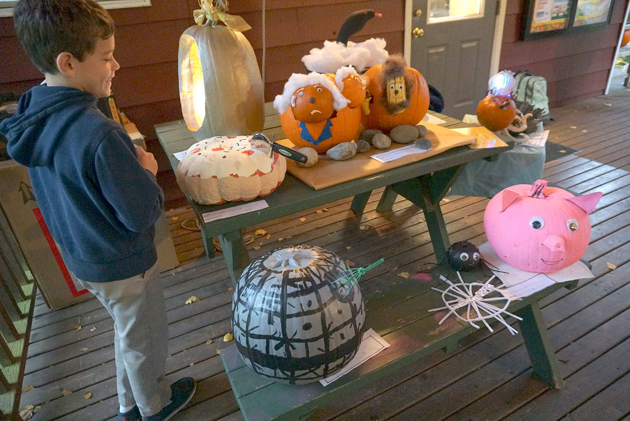 Carden Country School Pumpkin Parade boasts bevy of gorgeous gourds | Photo gallery