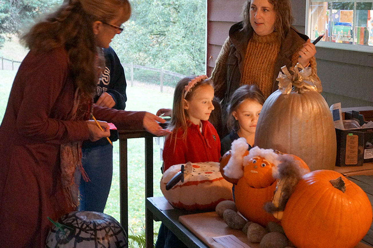 Carden Country School Pumpkin Parade boasts bevy of gorgeous gourds | Photo gallery