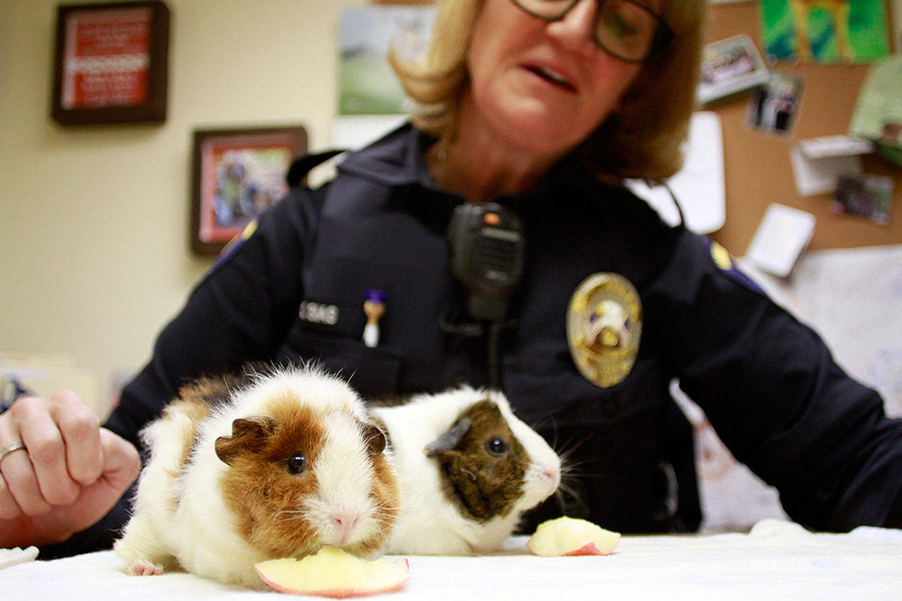 Pet the police: Island cop uses furry friends in new community outreach program