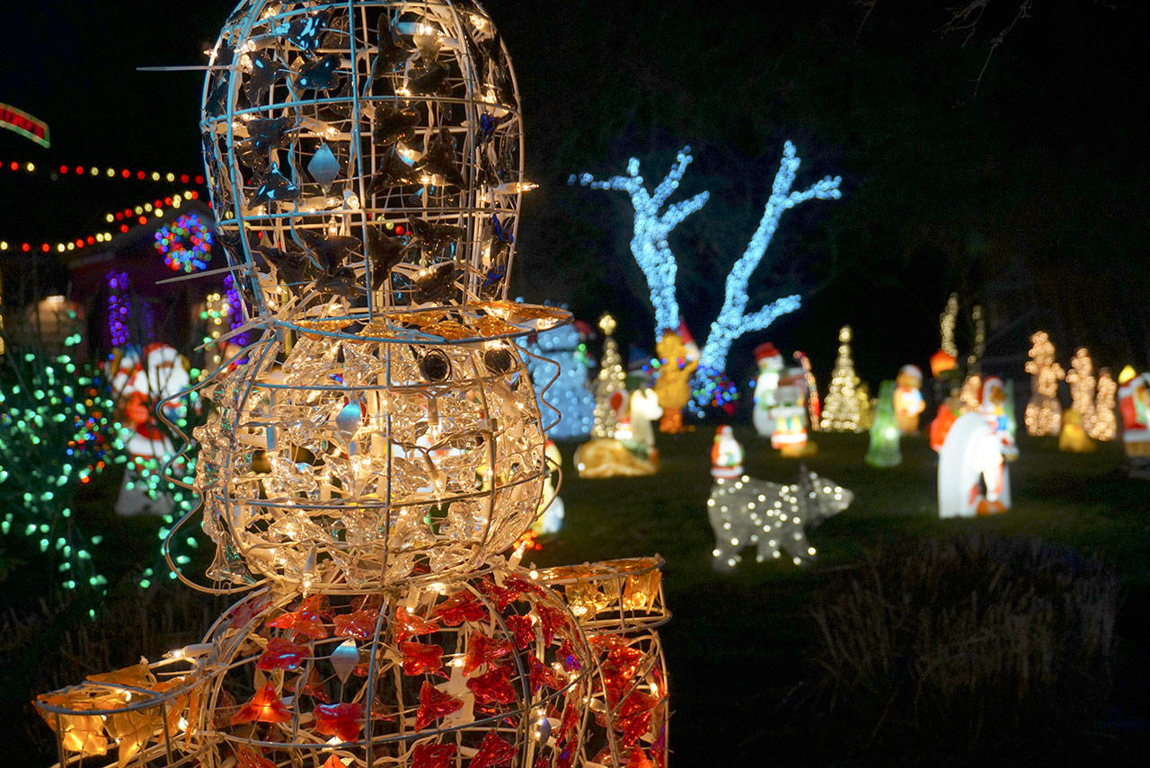 Luciano Marano | Bainbridge Island Review - More than 100 figurines and roughly 40,000 total lights adorn the yard outside Wiley Jones Irwin’s home.