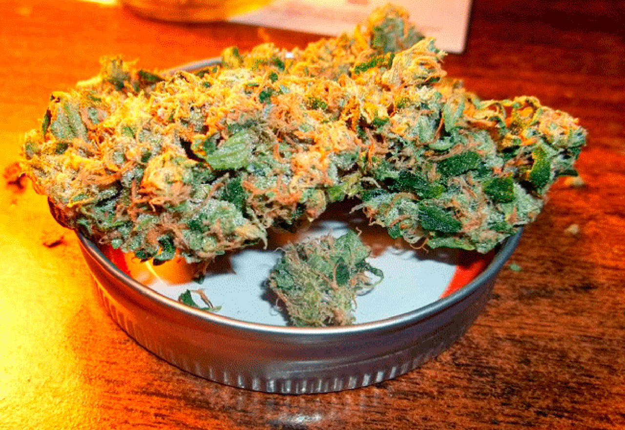 Lawmakers consider a grow-your-own recreational marijuana bill | 2020 Legislative Session