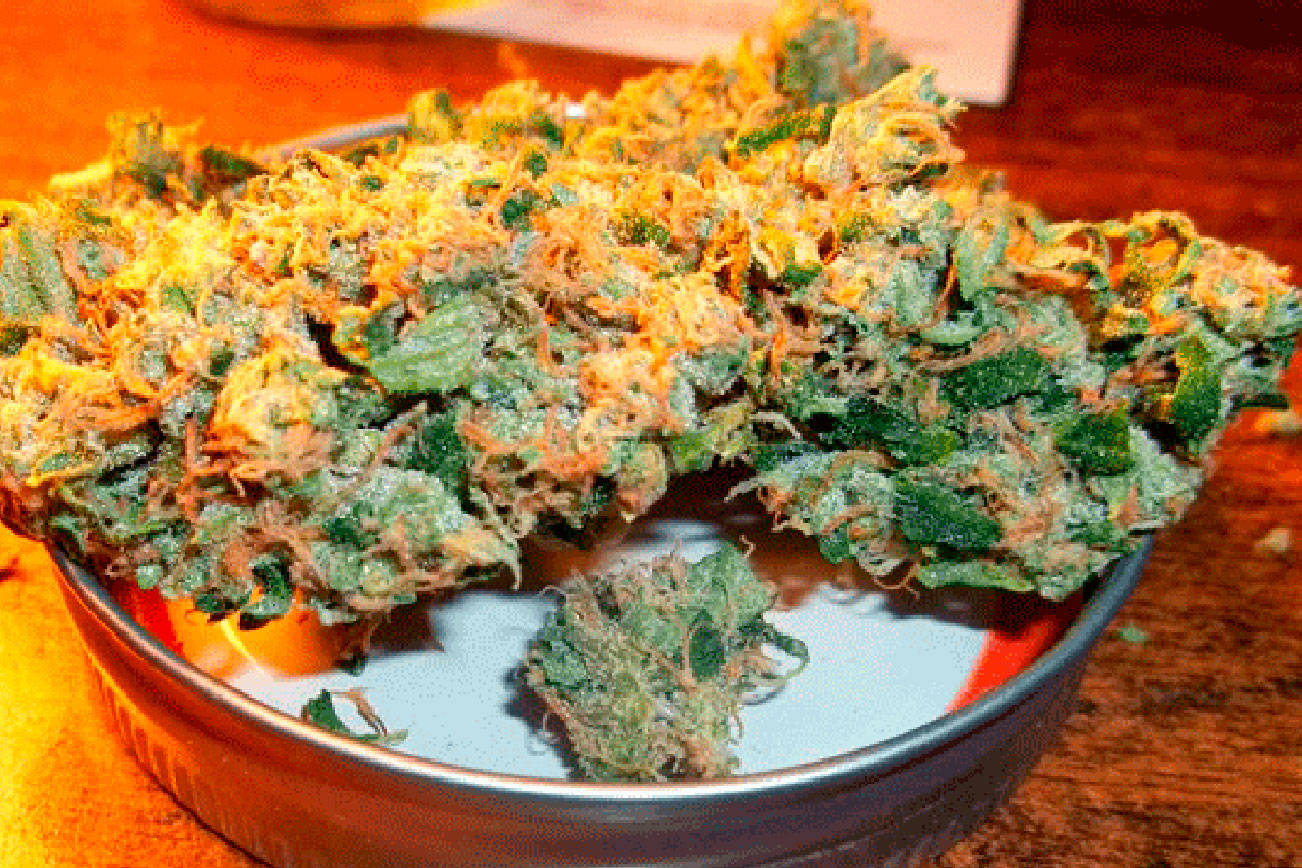 Lawmakers consider a grow-your-own recreational marijuana bill | 2020 Legislative Session