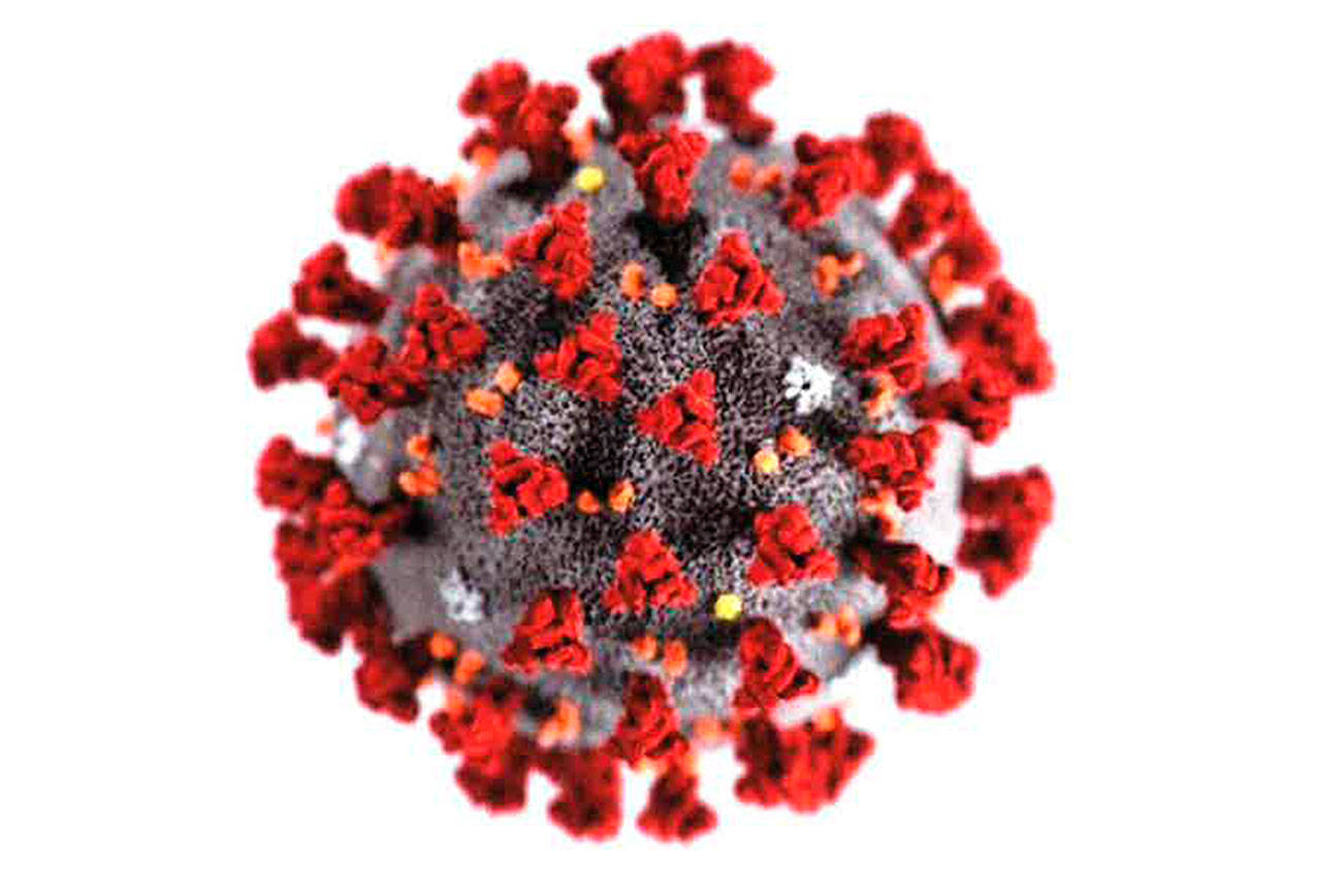 Bainbridge COVID-19 case now considered ‘positive’ for coronavirus