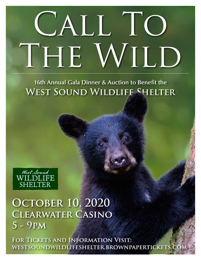 Call to the Wild Gala postponed until October