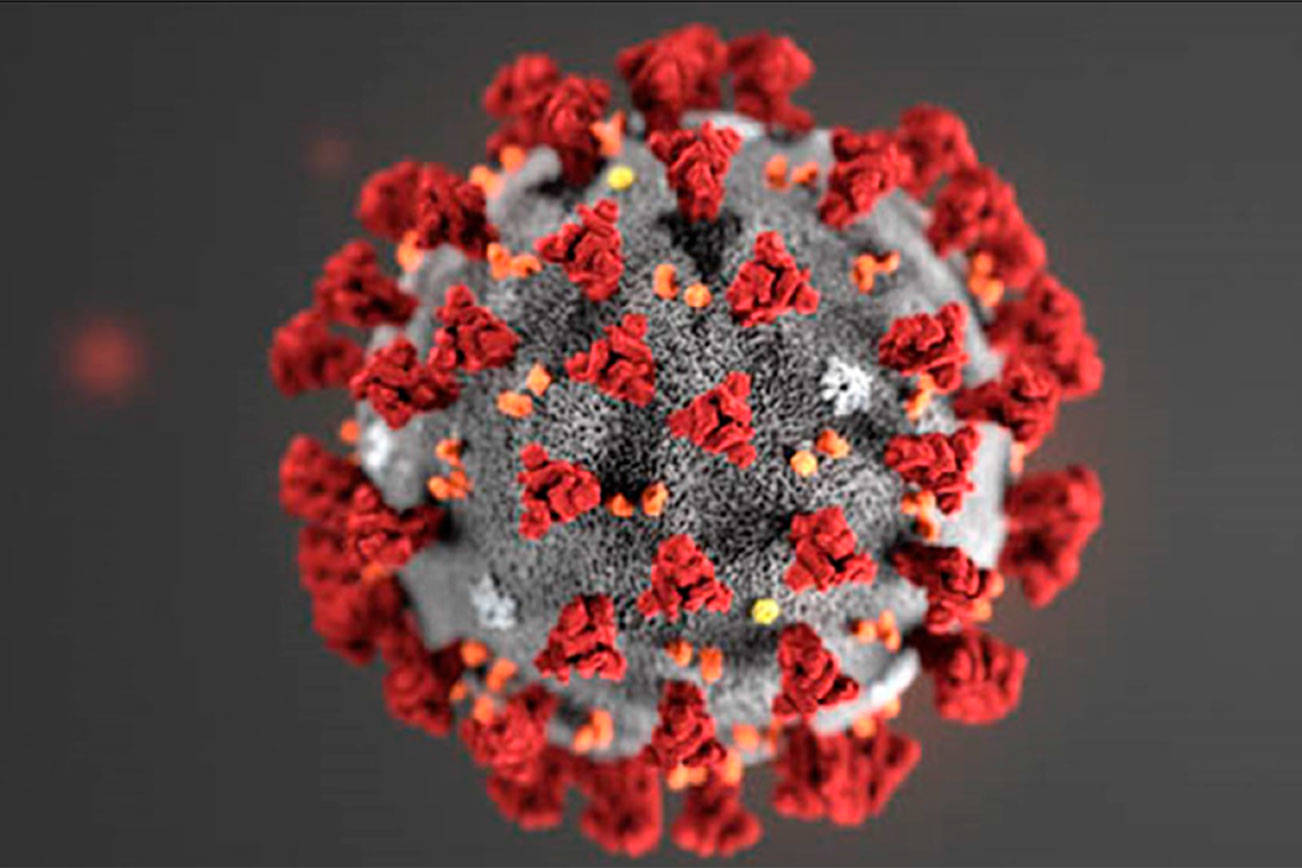 Twenty cases of coronavirus now confirmed in Kitsap County