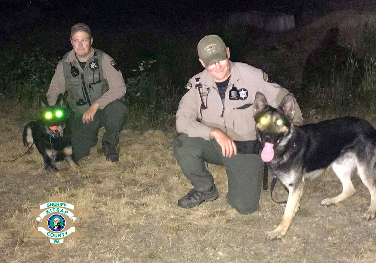 KCSO photo                                Bright-eyed K-9 Cooper and his handler, deputy A. Baker of Kitsap County Sheriff’s Office (at right), pose alongside K-9 Blue and his handler during a nighttime training session last week.