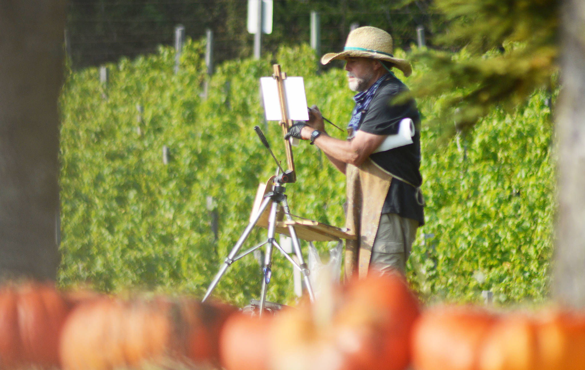 Robin Weiss was one of a few artists who were out at the pumpkin patch painting the fields.