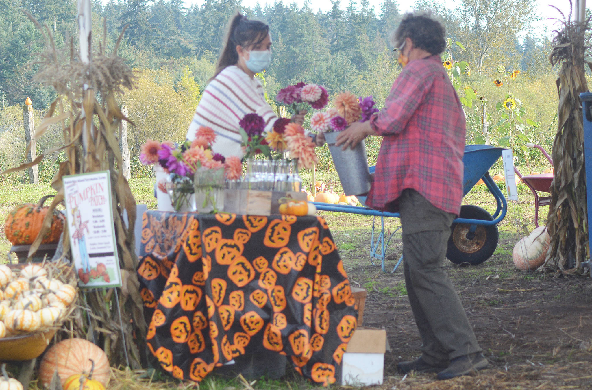 Pumpkin patch owner Karen Selvar helps a customer.