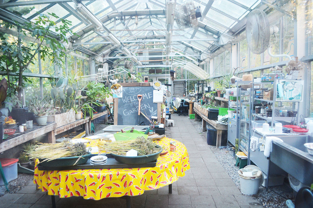 IslandWood students can work in a greenhouse as part of their environmental experience.