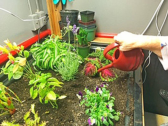 Plants in the mobile garden are watered. Courtesy photos