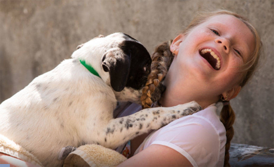 The foundation is involved in connecting pets to people to provide comfort for both.