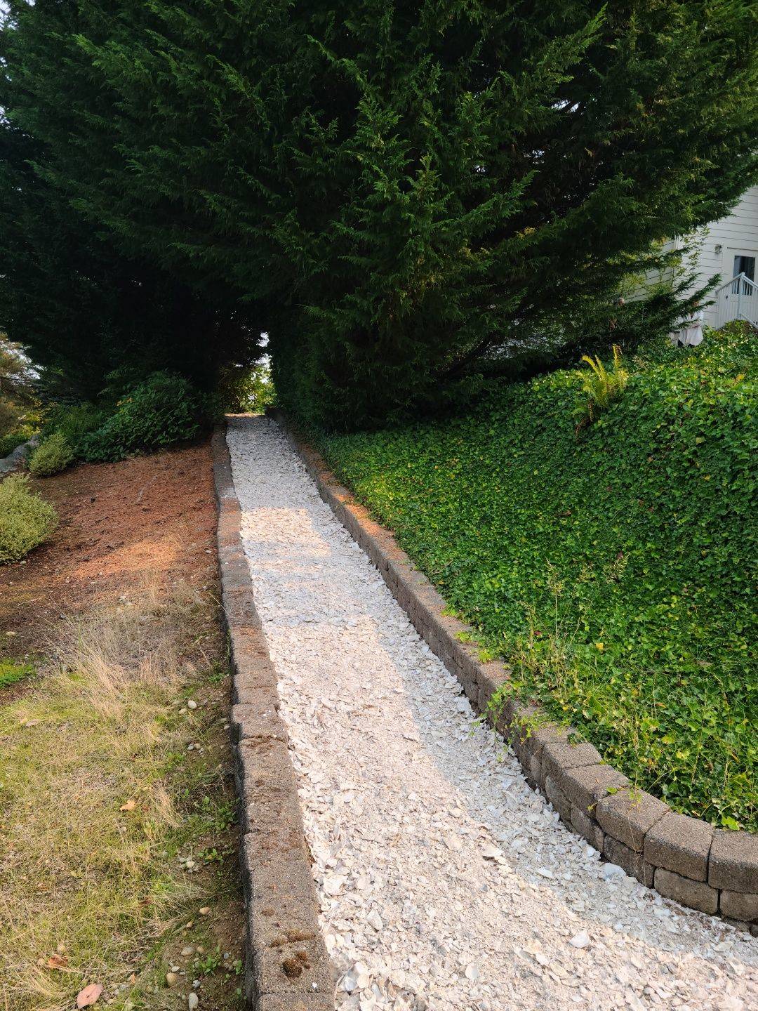 Oyster shells can be an attractive option for walking paths.