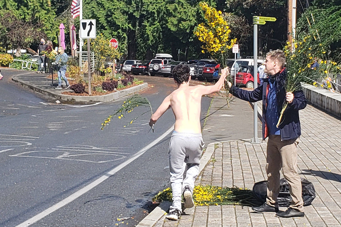 One participant ran down Bjune Drive to grab his Scotch Broom plant.