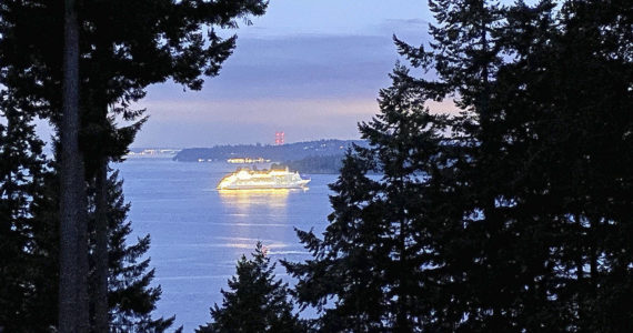 Patti Funchuk | Courtesy photo
Another sign that COVID-19 might be on its way out is cruise ships can now be seen off Bainbridge Island. In past years, except last summer of course, tourists from such ships have flocked to the island during stops in Seattle.