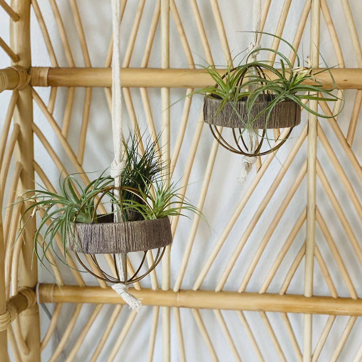 Two home decor balls turned into hanging plant holders.