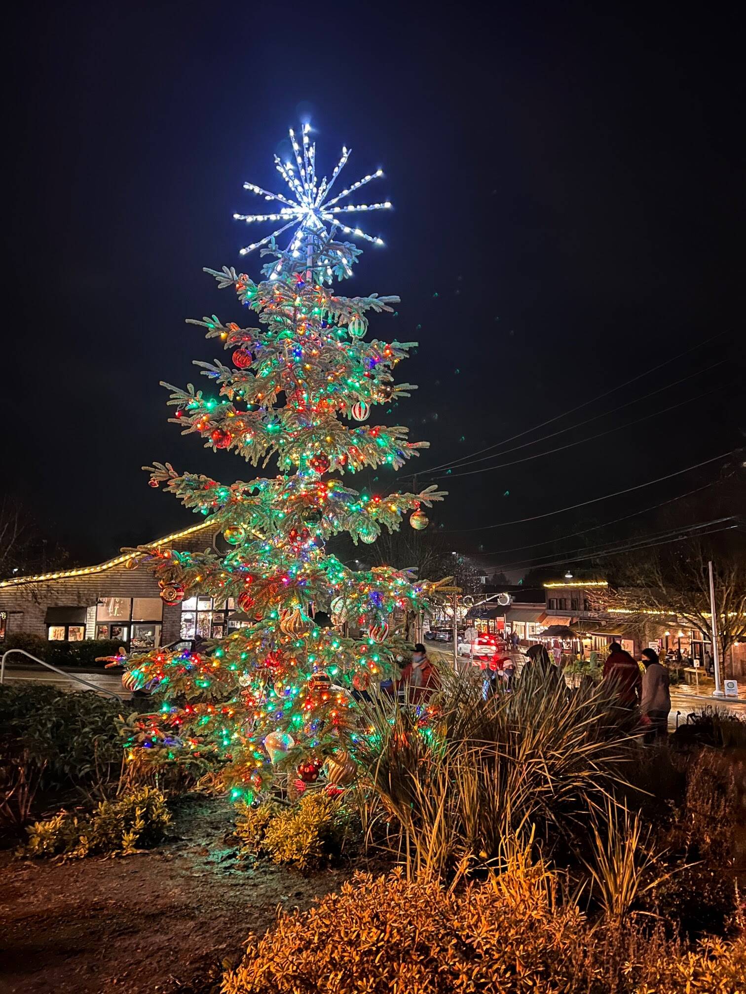 Oh (BI) Christmas tree Bainbridge Island Review