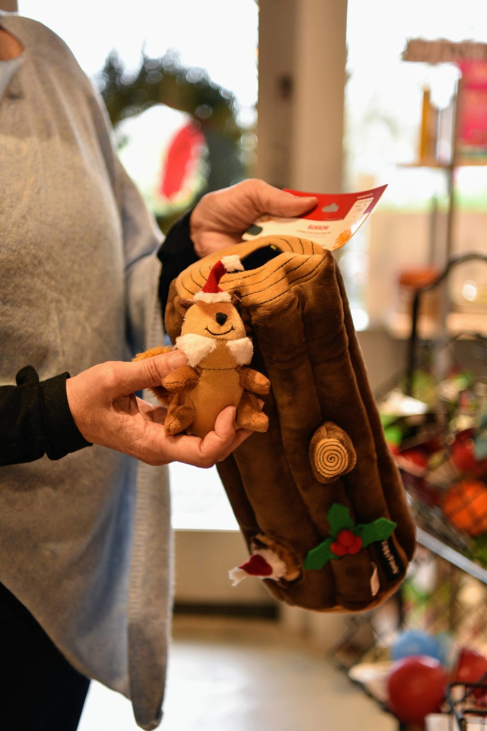 Katia Buskrik, owner of Z Bones Pet Merchantile in Winslow, holds an example of the toys customers are buying for their pets this year.