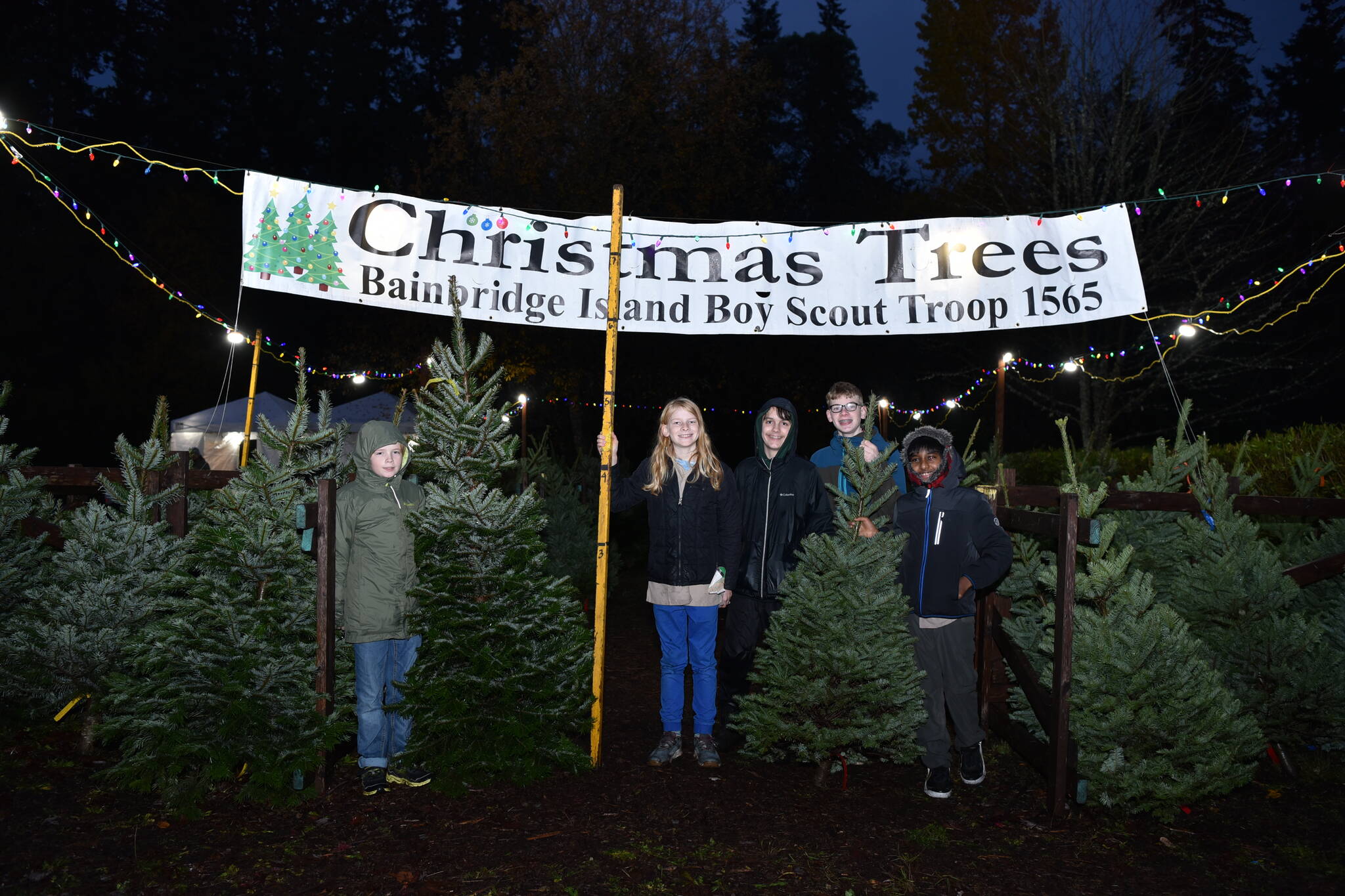 Scouts Henrik Zapf, Adrian Meidell, Ethan Meidell, Nathan Cole, Jason Arul selling trees to support the Bainbridge Island Boy Scout Troop 1565. The Christmas Tree lot is located next to Ace Hardware on High School Road.
