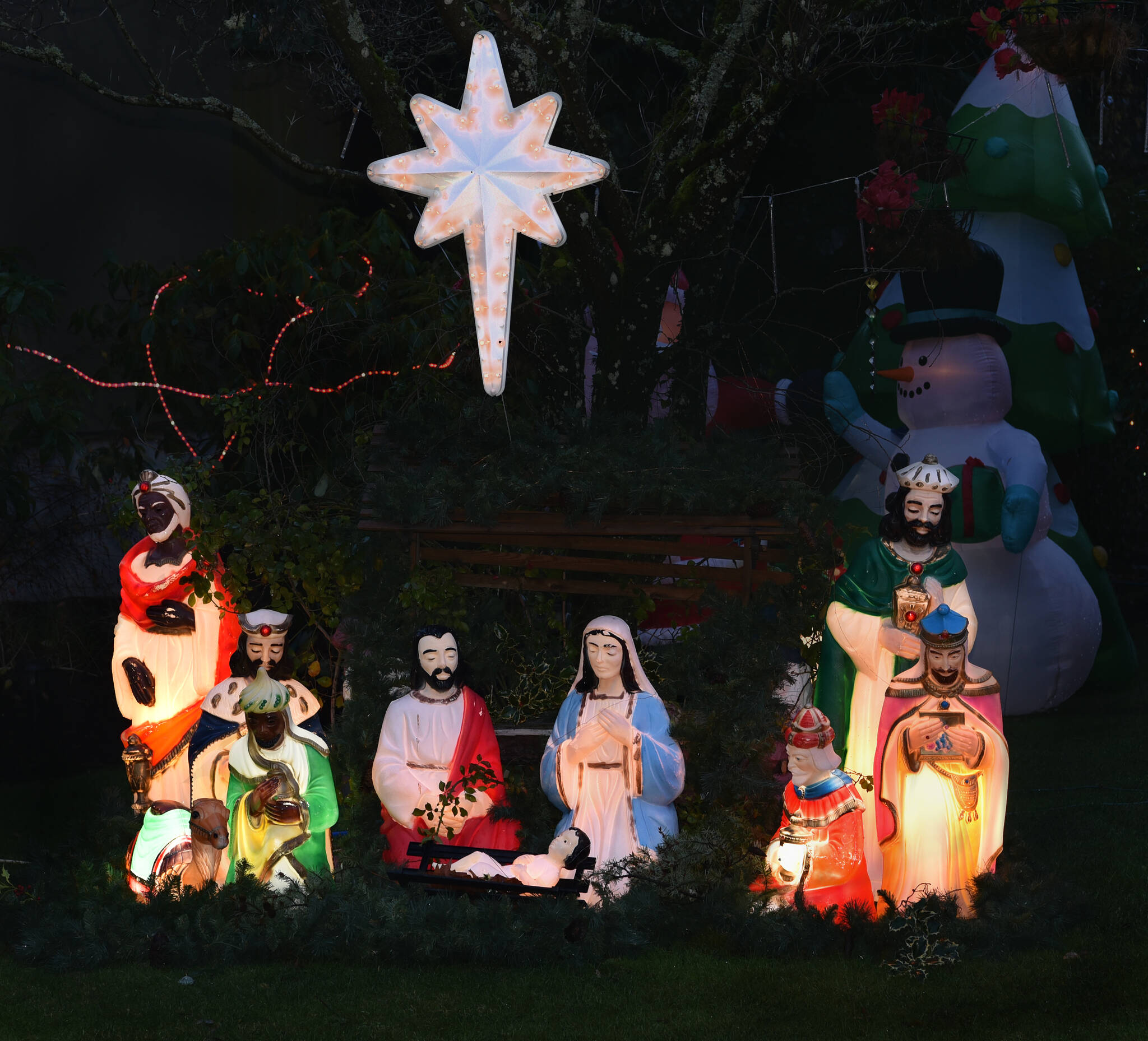 This antique nativity set with guiding star is West's favorite section of the light display, which has been drawing visitors to her house for more than half a century.