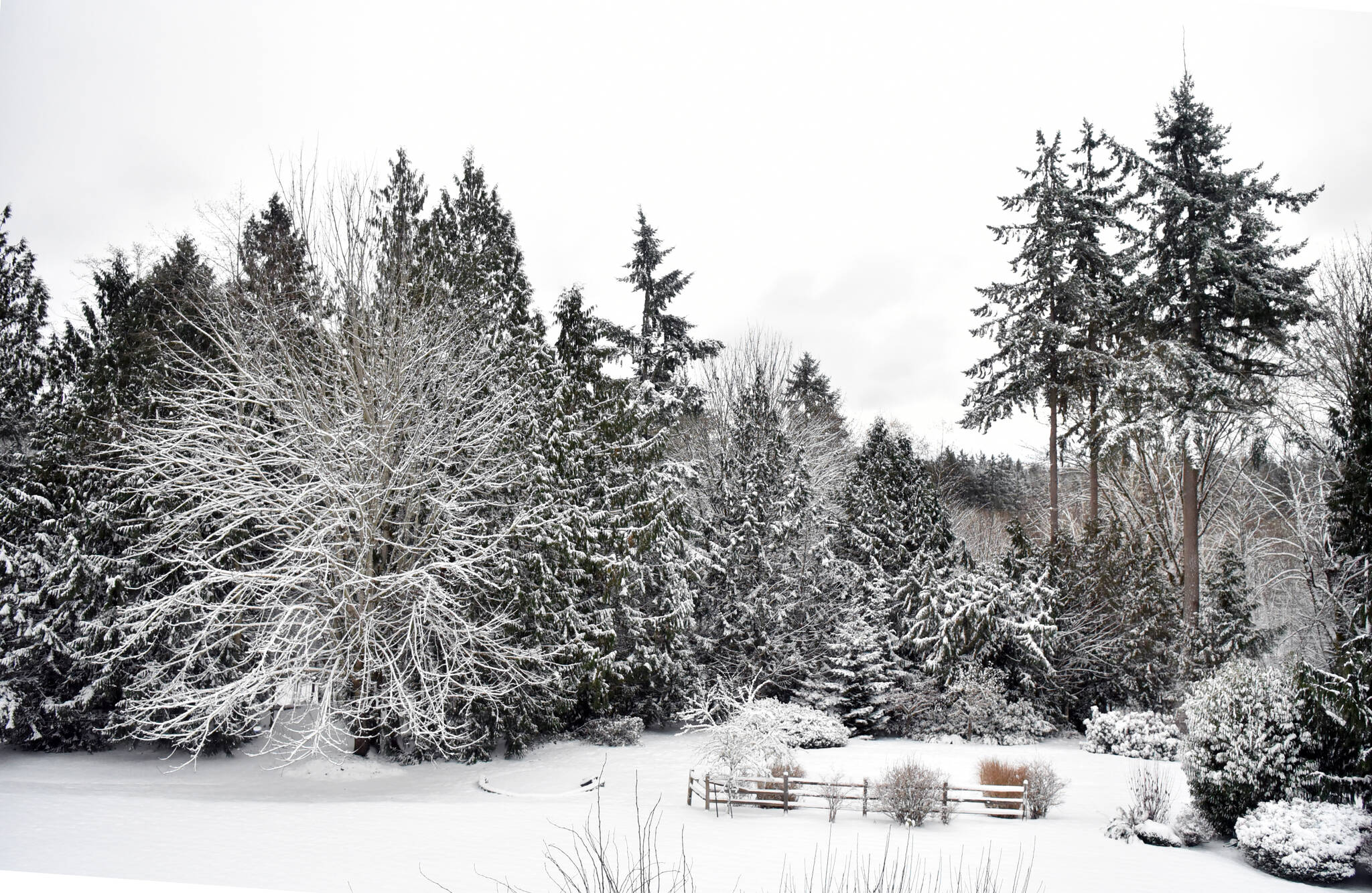 It’s snow much fun Bainbridge Island Review