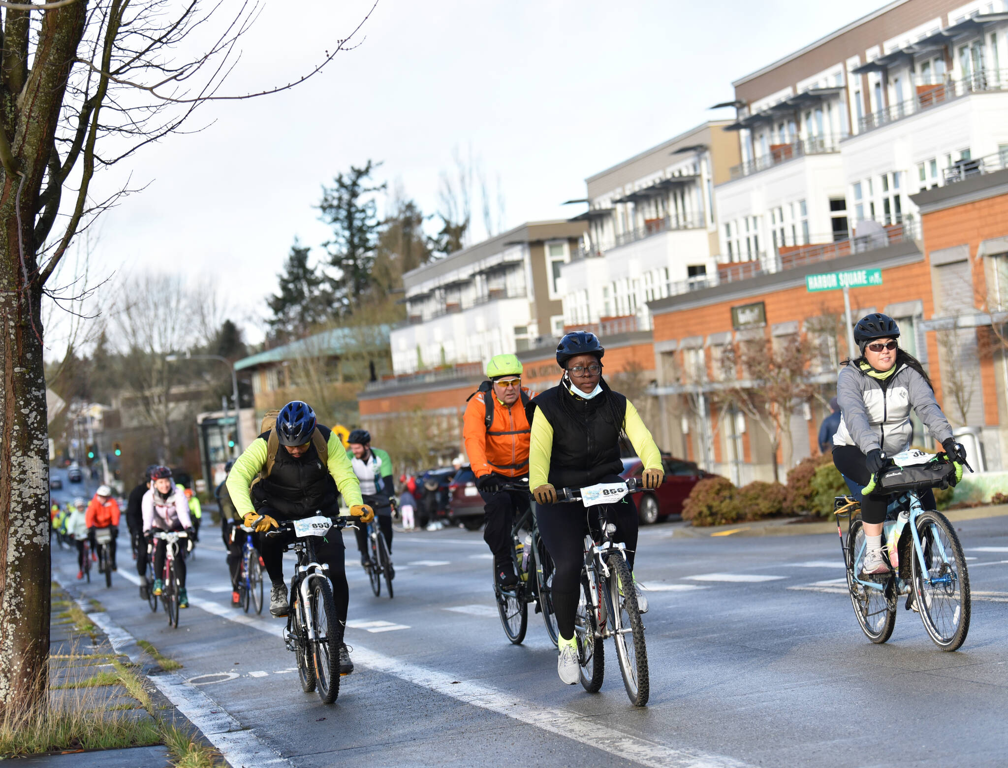 Chilly Hilly participants peddle up Winslow Way.