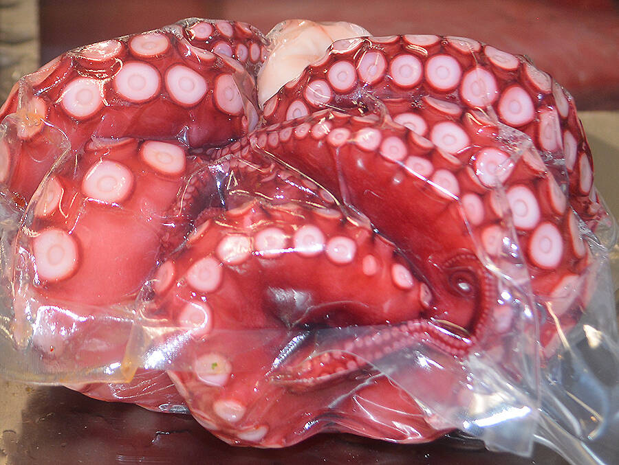 Octopus waiting to be prepared.