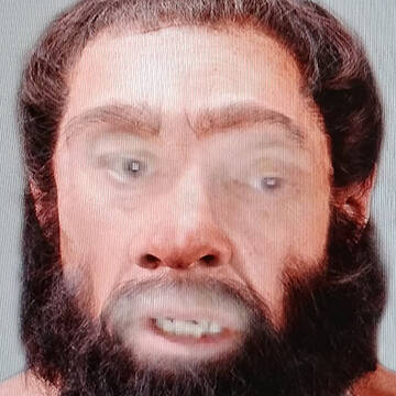 At one of the Smithsonian museums, I saw what I would have looked like as a neanderthal.