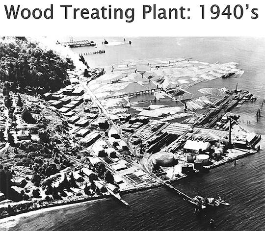 The plant where creosote was used to extend the life of the wood.