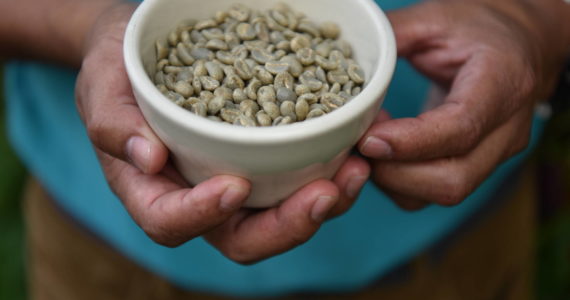 Raw green coffee beans.